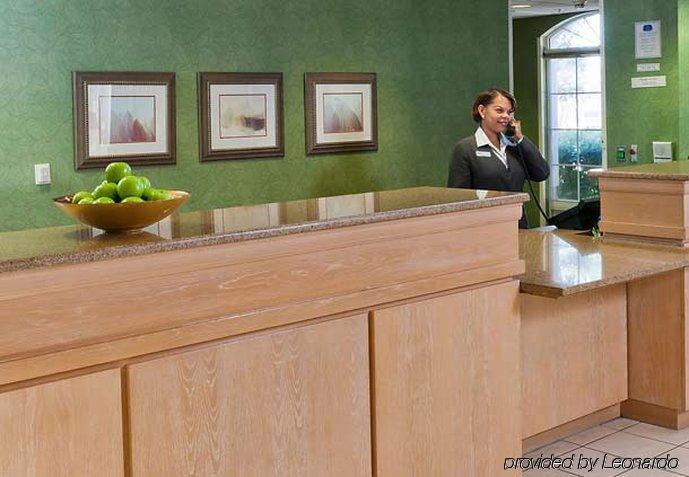 Fairfield Inn And Suites By Marriott Clearwater Dalaman gambar